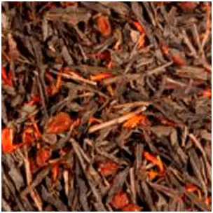 Grøn Sencha Havtorn - The